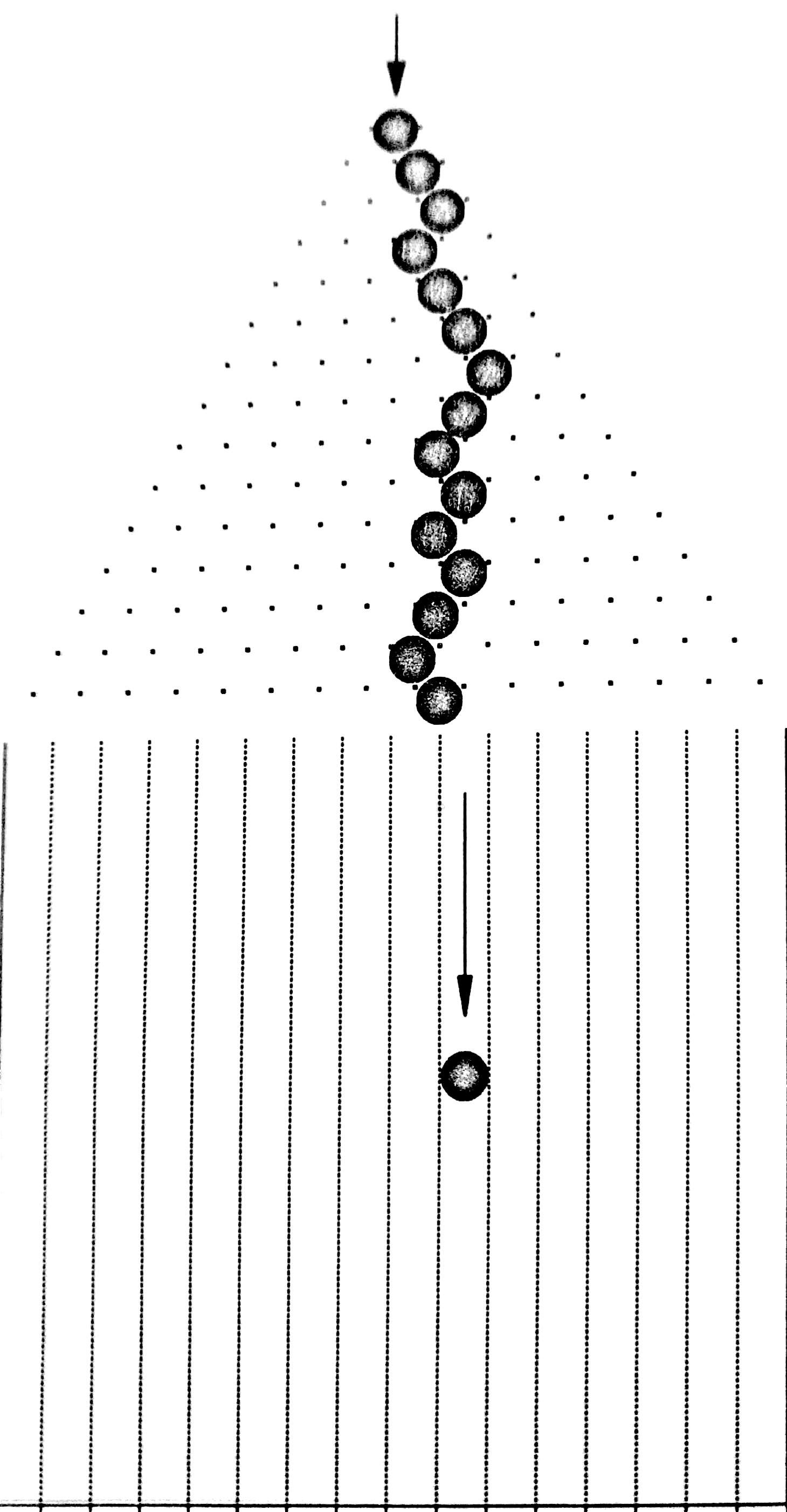 A Random Walk